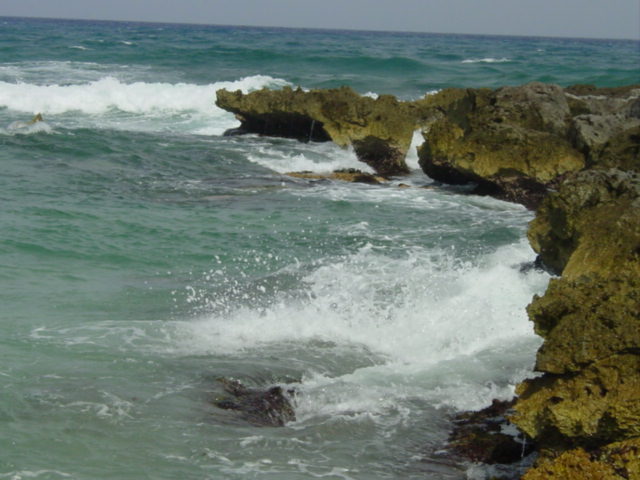 nature1.jpg