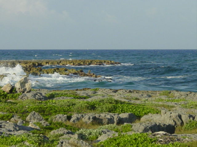 nature2.jpg